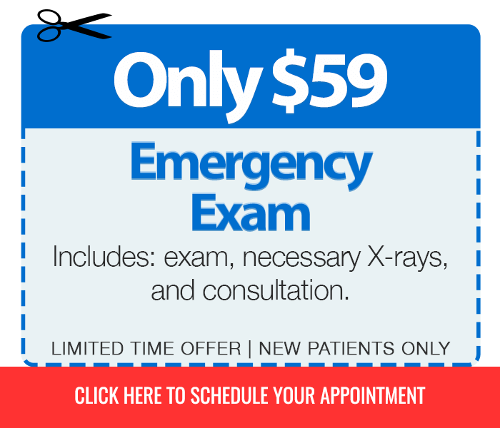 Emergency Exam Only $59 Includes exam, necessary x-rays, and consultation (Limited Time Offer, New Patients Only)